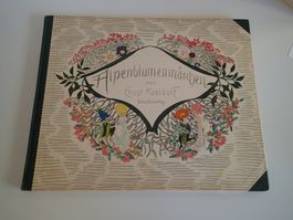 E. KREIDOLF  Erstausgabe 1922 ALPENBLUMENMAECHEN  26x32 cm F