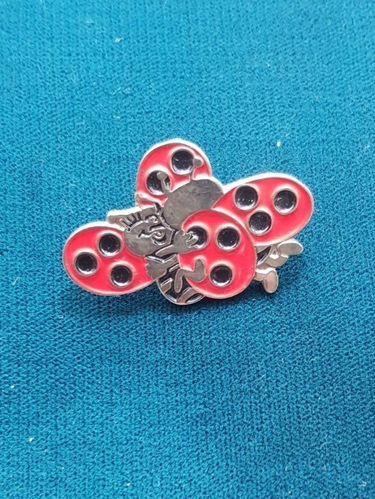 Placchette & Badge: Pins Blickchäfer – Usato da Schaffhausen venduto da Munot56 2