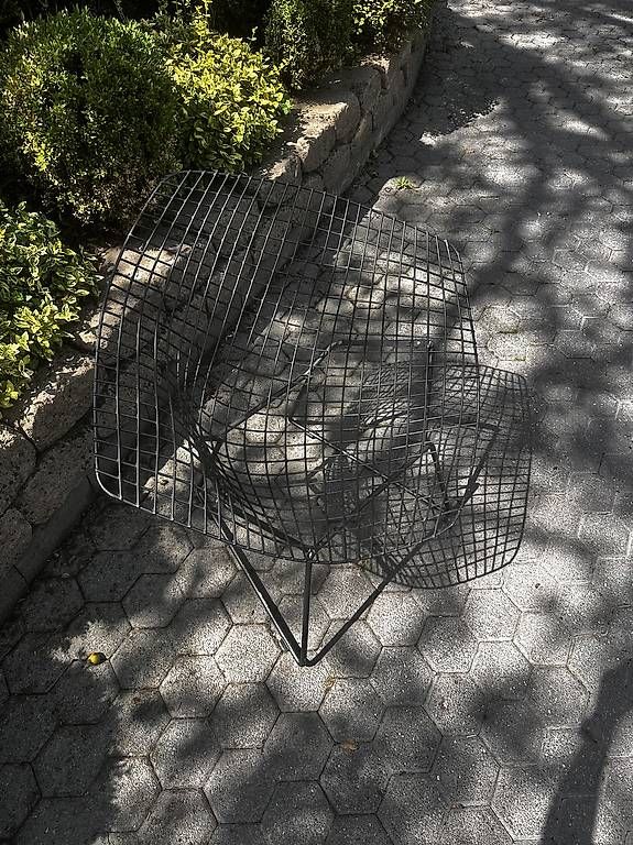 Knoll Poltrone: Knoll Bertoia Diamond Chair – Usato da Baden venduto da Nulingua 1