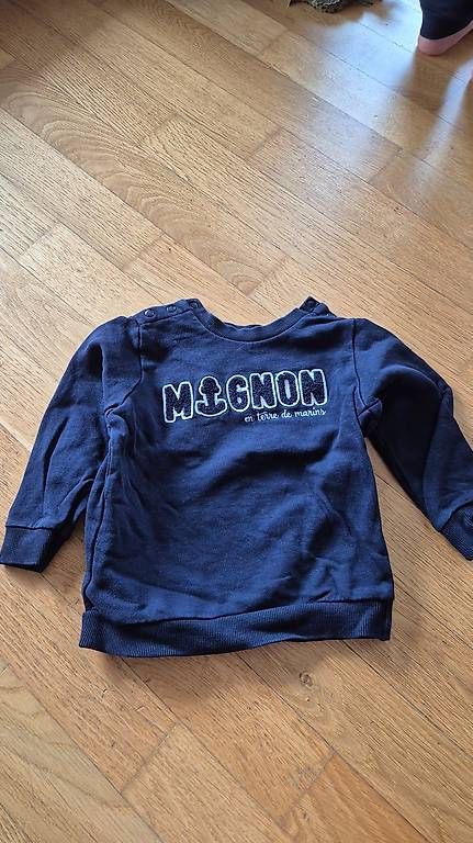 Pullover & Sweatshirts: Pullover Gr. 86 – Gebraucht aus Unterentfelden von jkl_59w2