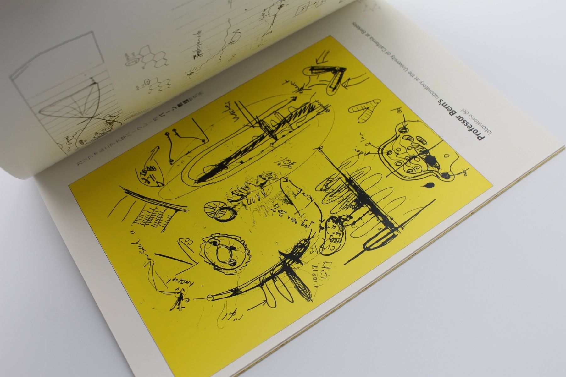 Libri: Atlas Issue 4 – Edited by Jake Tilson – Usato da Lachen SZ venduto da ratata 3