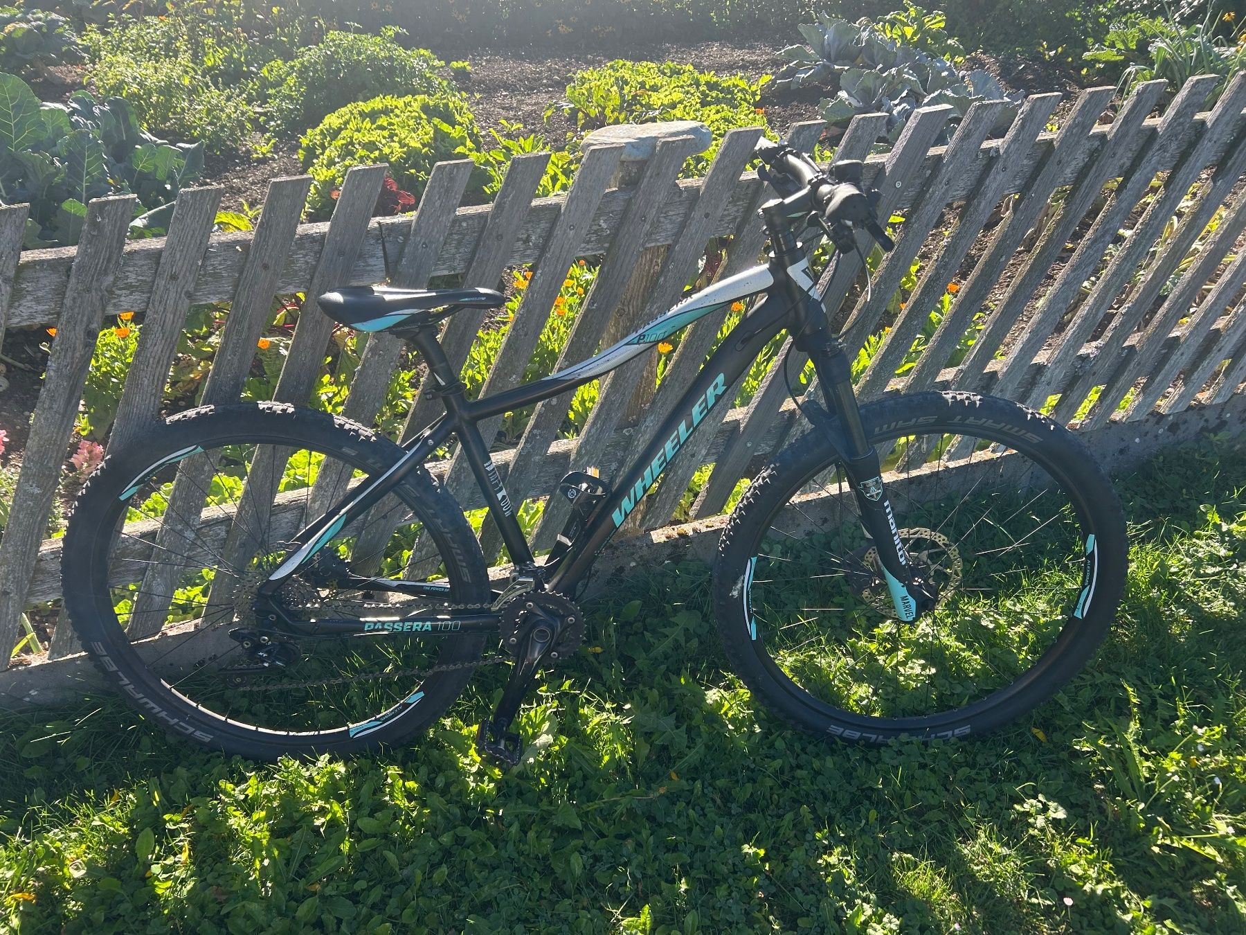 Wheeler Biciclette: Wheeler Bike – Usato da Reichenbach i. K. venduto da Standfluh
