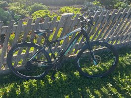 Wheeler Bike