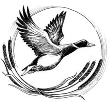 Profile image of stfmlt