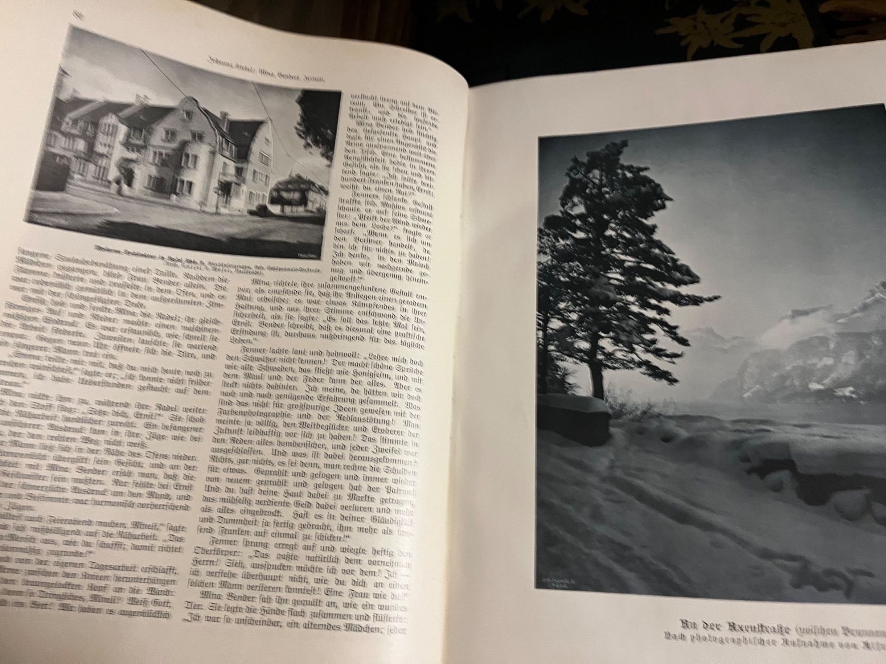 Bücher: buch, die schweiz , schweizer illustrierte 1912 – Gebraucht aus Emmenmatt von flyrecords 2