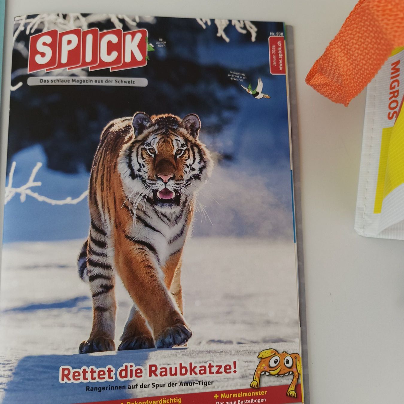 Riviste & Magazine: SPICK Magazin-Set (5 Stck) – Usato da Meilen venduto da FAVALLID 5