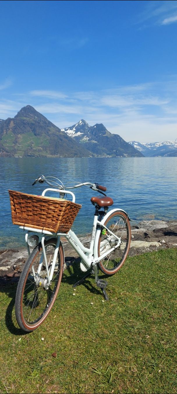 Gazelle Biciclette: Holland Damen Velo – Usato da Ruswil venduto da wyma02