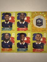 Panini WM 2026!!!!