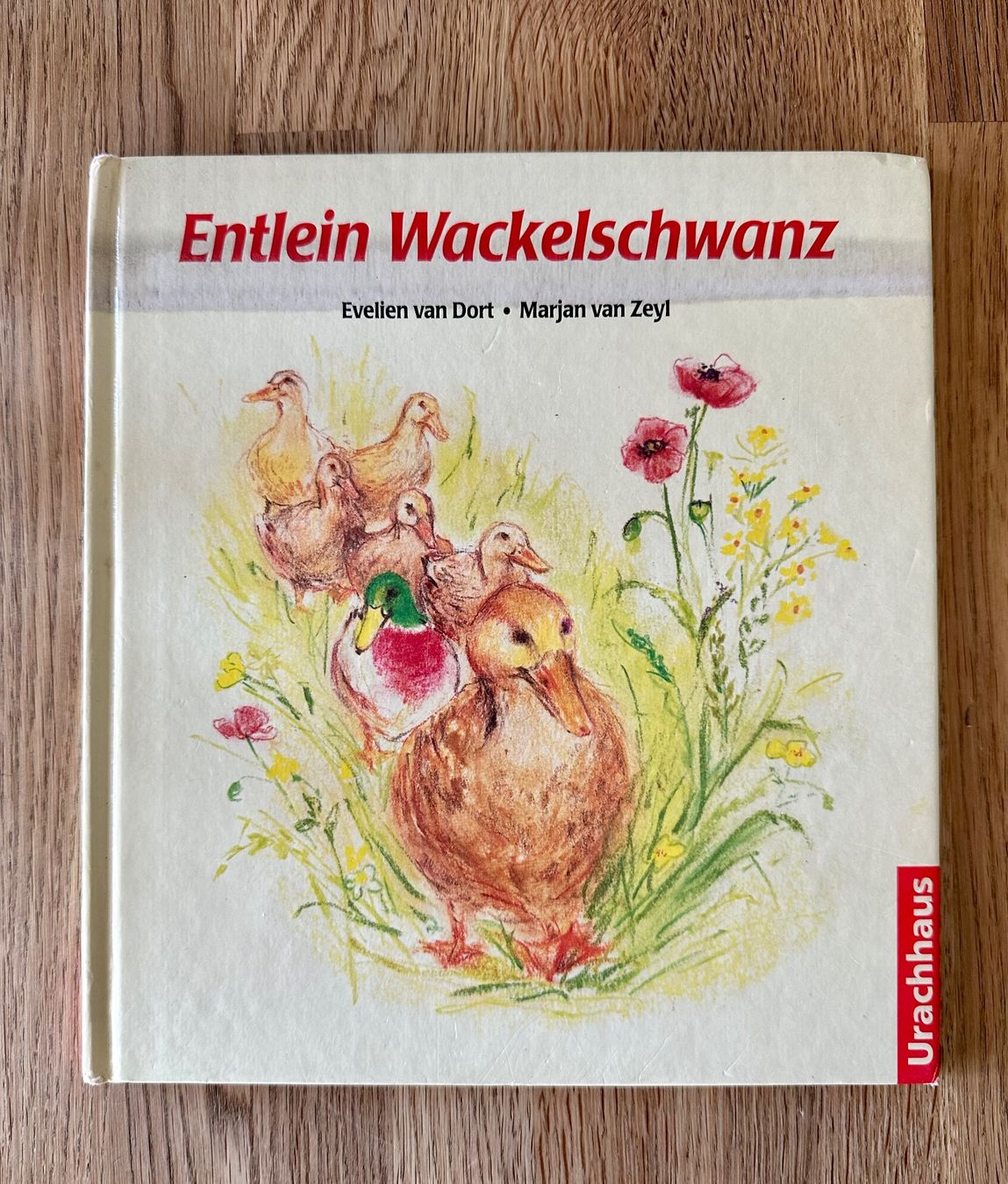 Libri: Kinderbuch- Entlein Wackelschwanz – Usato da Amriswil venduto da Mat08