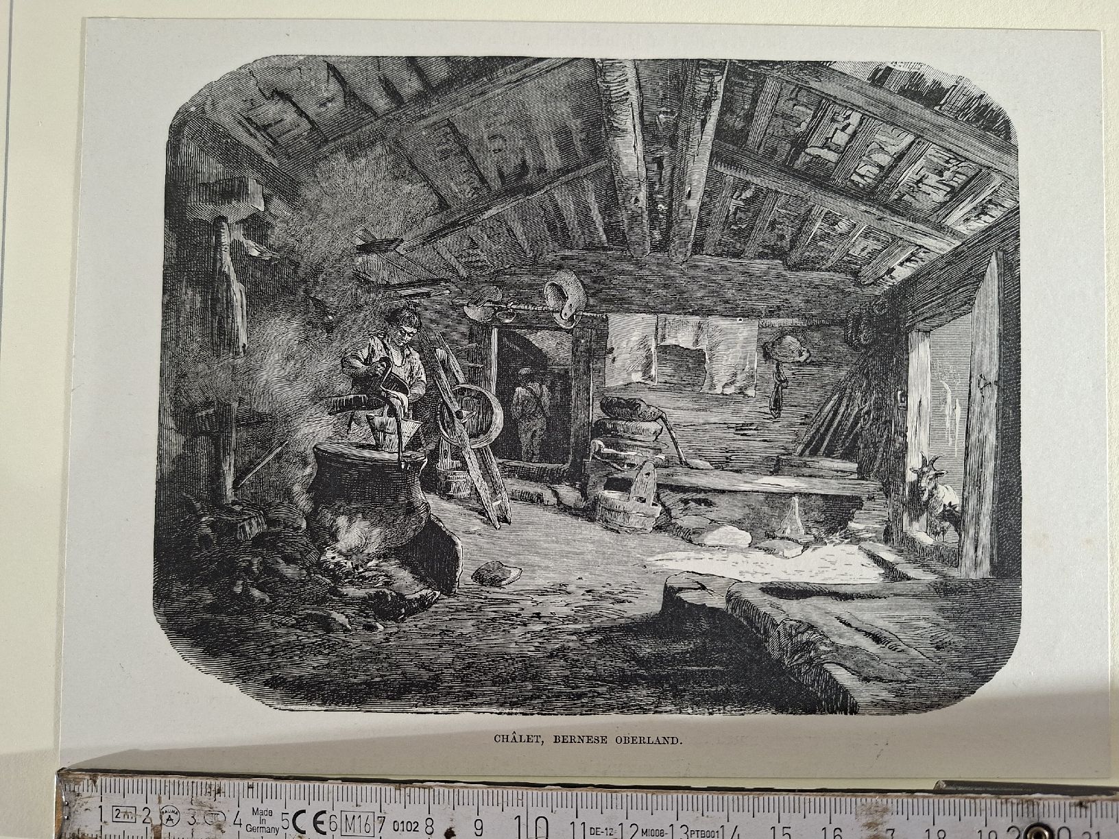 Incisioni: Lot 25, 5 Stiche – Usato da Grindelwald venduto da carro5 1