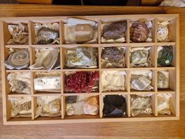 Grosse Steinsammlung: Mineralien, Fossilien & Edelsteine