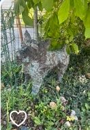 Sculptures & Statues: Metal dog sculpture – D'occasion à Zollikon par kmg1