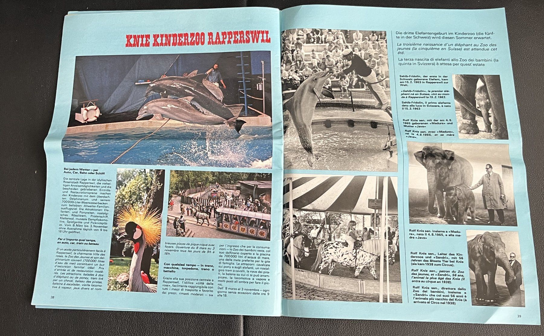 Riviste & Magazine: Circus Knie Programmheft 1985 - Rarität! – Usato da Bern venduto da daskannweg 7