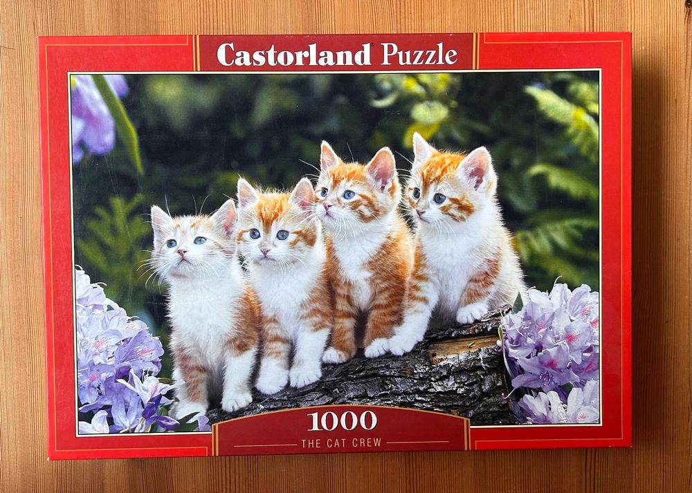 Castorland Puzzle 500 pezzi La sera perfetta del gufo