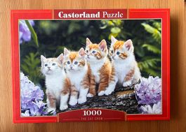 CASTORLAND Puzzle 1000 Teile