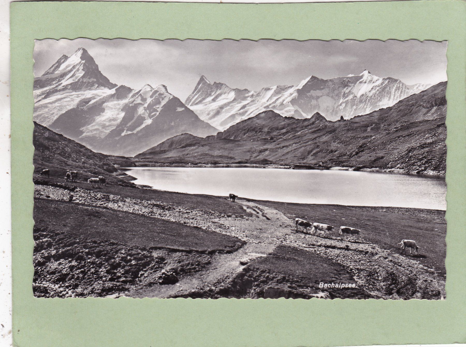 Cartoline postali: Faulhorn Bachalpsee 1955 – Usato da Herisau venduto da Lisegrat2008