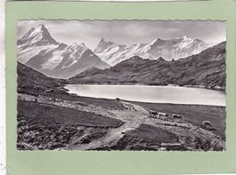 Faulhorn Bachalpsee 1955