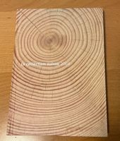 JAHRBUCH 2004 ORIGINAL Esttagsstempel TEXT 4SPRACHIG