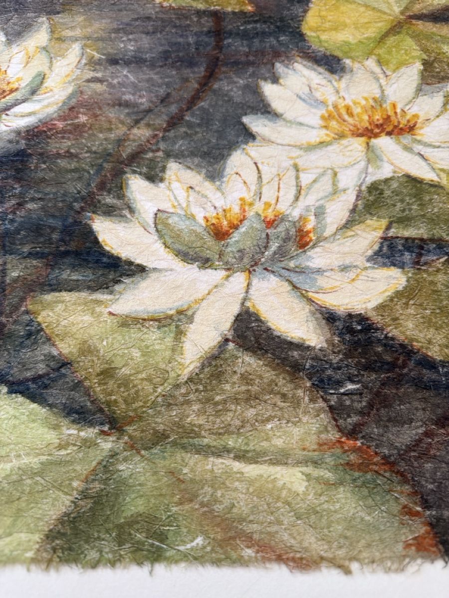 Dipinti: Heinz Vogel, Aquarell, Seerosen. – Usato da Biberist venduto da Momo33 3