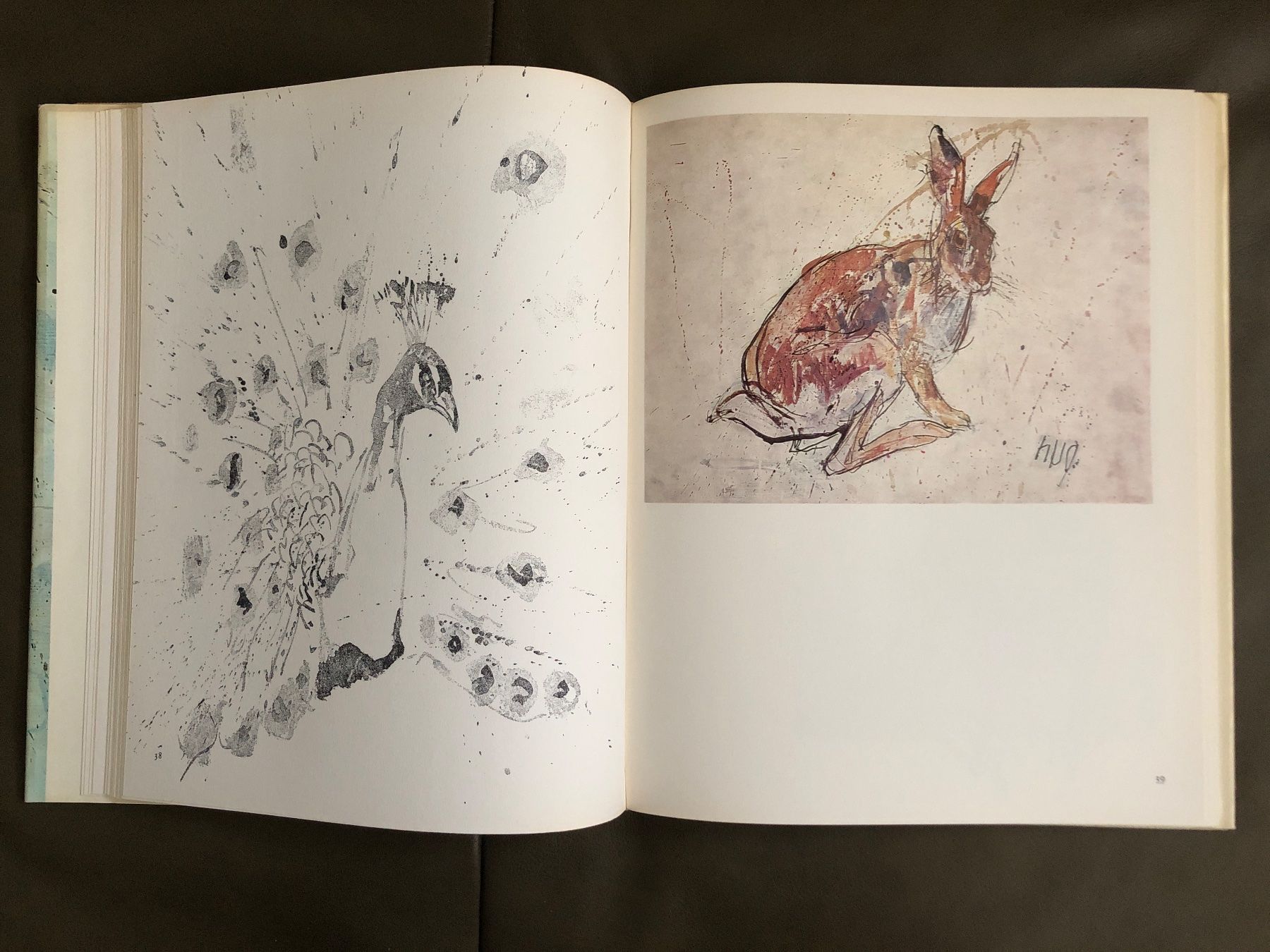 Libri: Buch Fritz Hug Maler der Tiere – Usato da Nunningen venduto da anclaudia 3