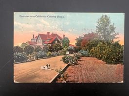 1914 USA Longbeach coloriert   (G668)