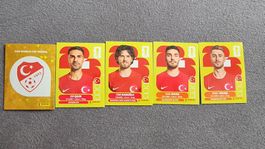 FIFA Panini sticker TUR 1 4 8 9 10