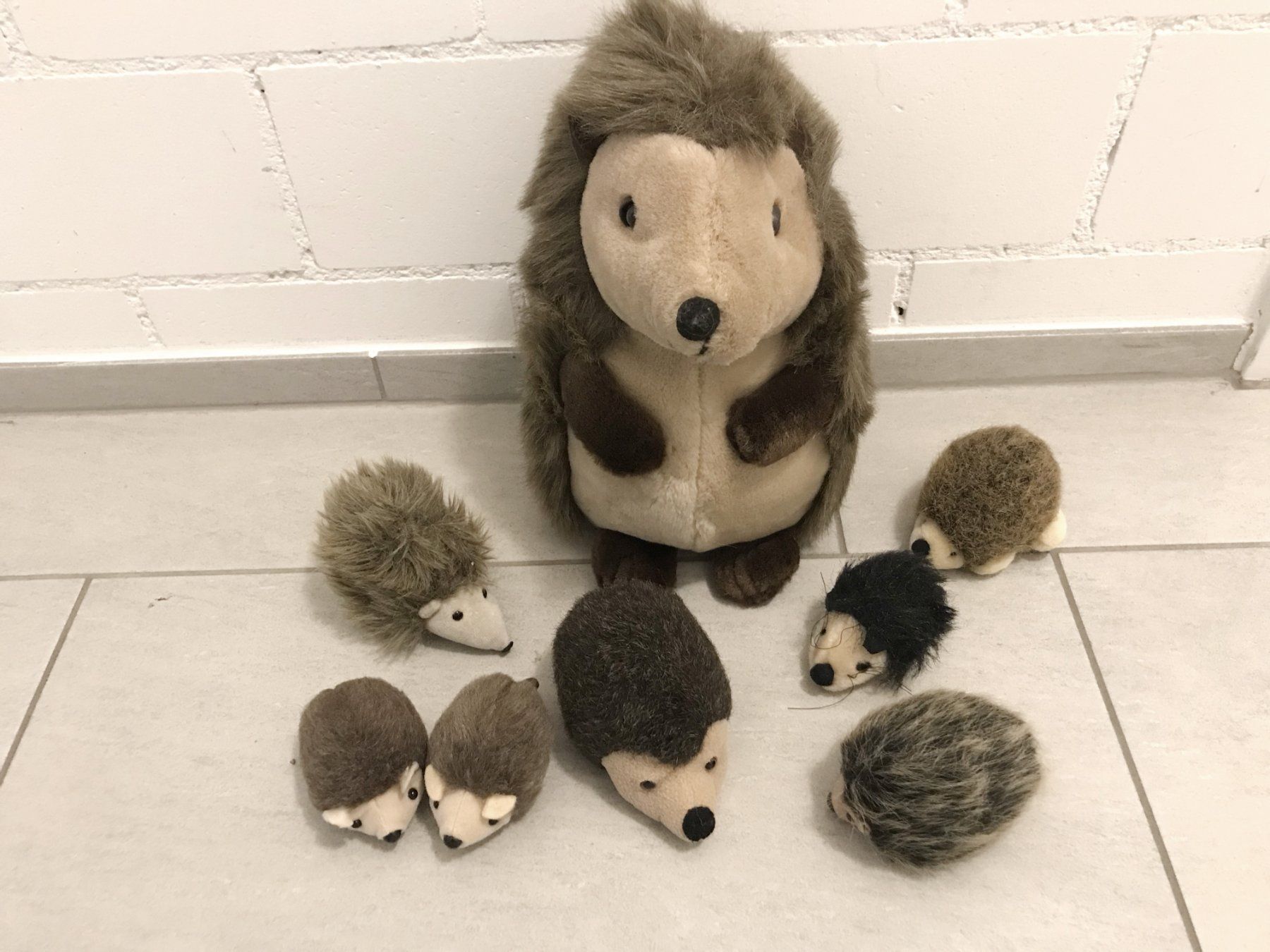 Giocattoli: Igel-Familie – Usato da Bremgarten AG venduto da mamina54