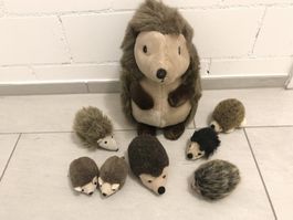 Igel-Familie