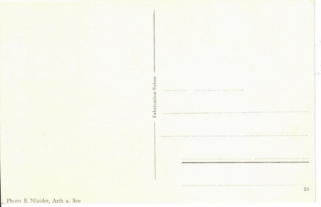 Cartoline postali: Hotel Rössli Goldau – Usato da Hochdorf venduto da Ziegel-16 1