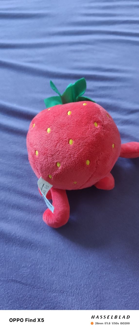 Coop Spielzeuge: Strawberry – Neu (gemäss Beschreibung) aus Unterentfelden von igs_nj72 4