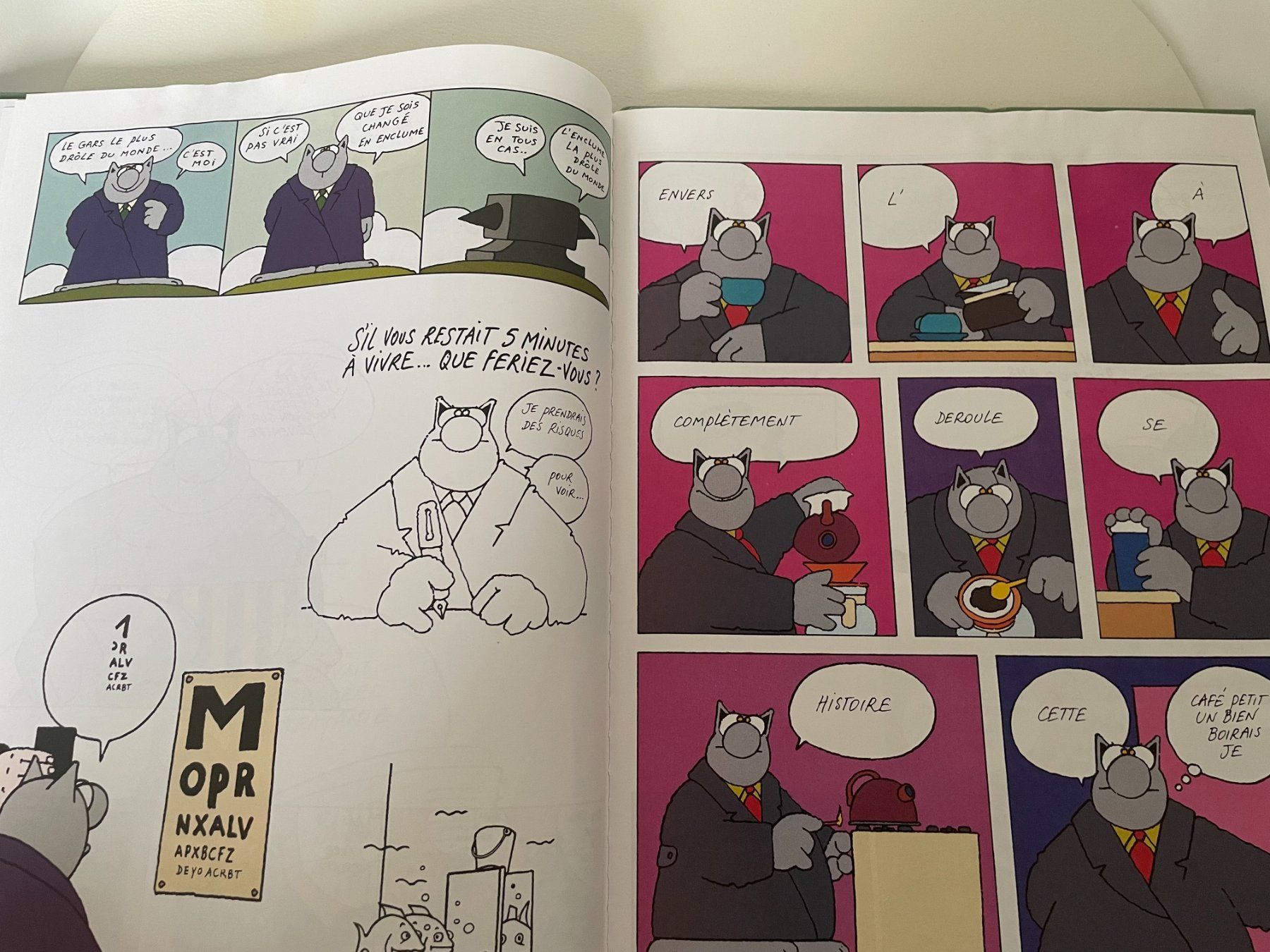 Fumetti: Philippe Geluck - L'excellent du Chat – Usato da Petit Lancy venduto da gil_hr6v 4