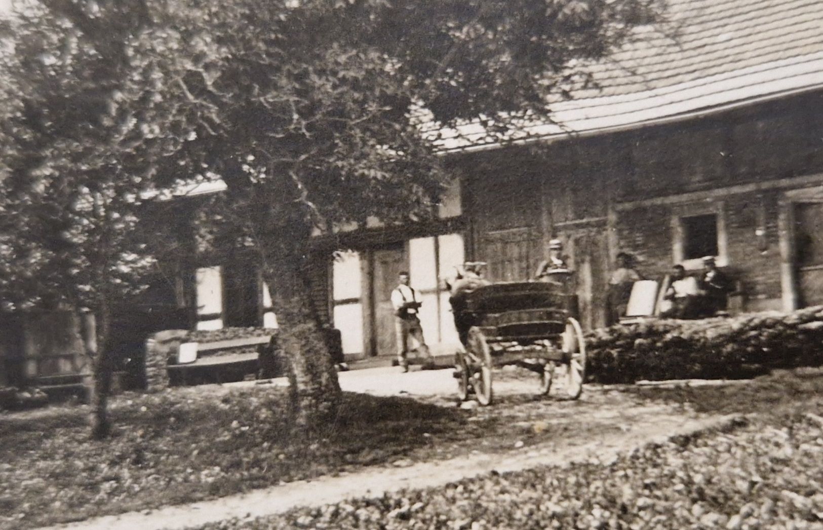 Cartoline postali: Bauernhof mit Einspänner, wahrscheinlich Bernbiet – Usato da Ebikon venduto da Donar50 1