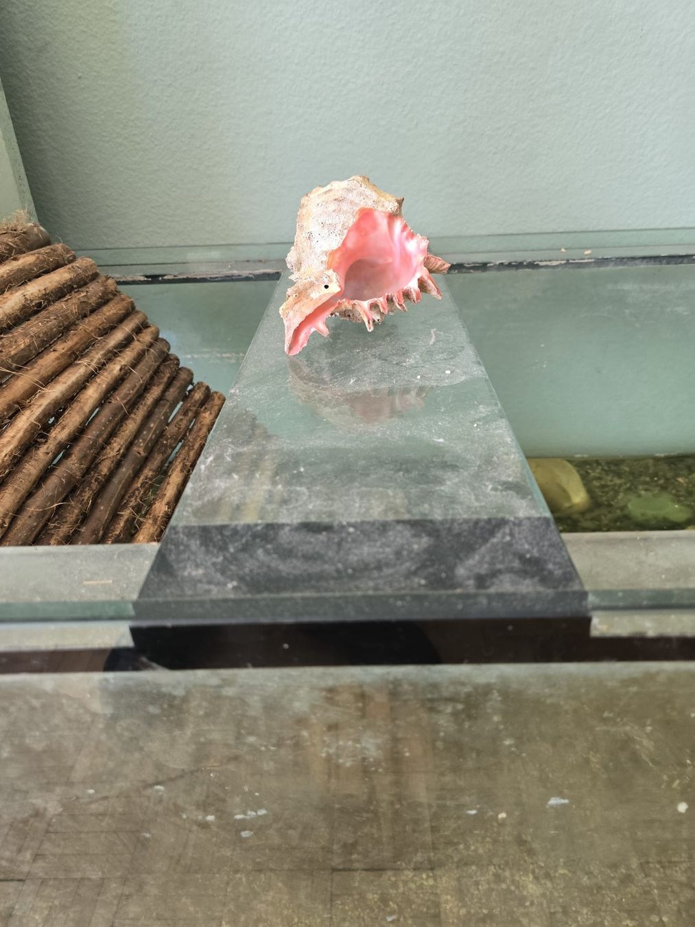 Acquari: Used Aquarium - 200x60x60cm – Usato da Zürich venduto da jjr_62ng 2