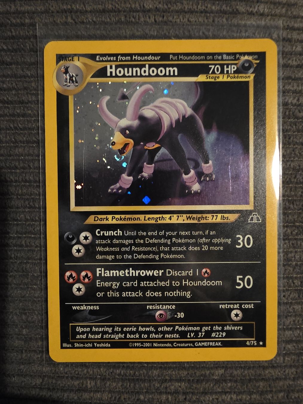 Pokémon Cartes à collectionner: Pokemon Houndoom Neo Discovery Holo Englisch Base Set Ex – D'occasion à Kriens par Dante07