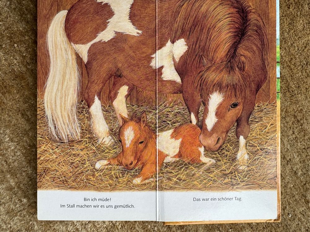 Ich bin das kleine Pony , Ravensburger Kaufen auf Ricardo