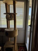 Kratzbaum Beige mit Haengematte und Haeluschen guter Zustand