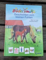 Kinderbuch Bildermaus Geschichten vom kleinen Fohlen