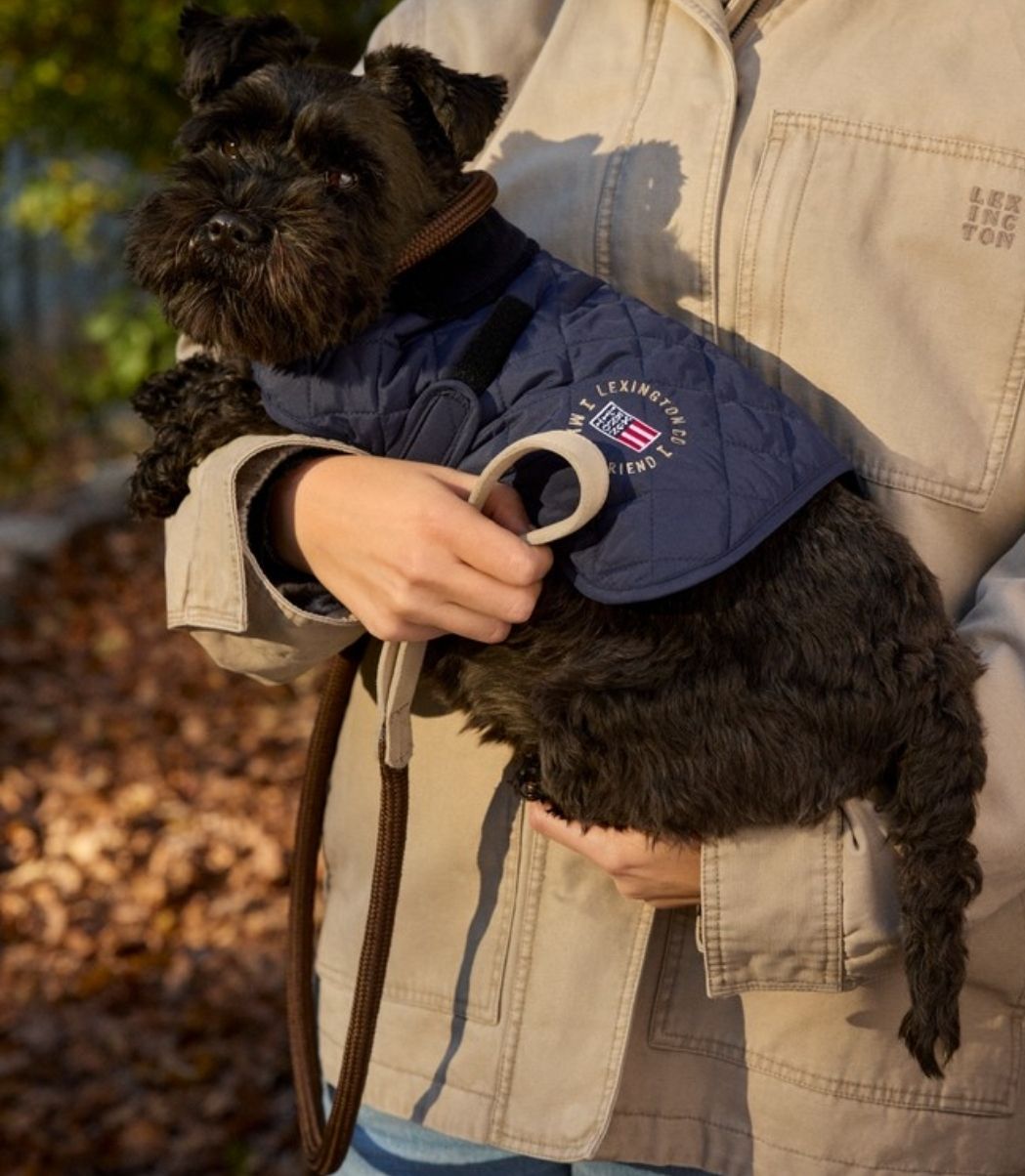 Abbigliamento: Lexington Hunde Steppjacke, Grösse m – Nuovo e nell'imballaggio originale da Erlinsbach venduto da Podar01 1