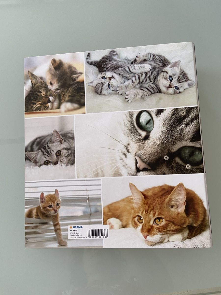 Raccoglitori: Süsser Katzen Ordner – Nuovo (secondo la descrizione) da Bülach venduto da kittygismo