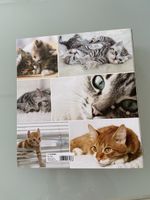Süsser Katzen Ordner
