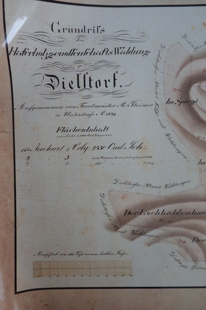Documenti: Holzgenossenschaft Dielsdorf, 1839 – Usato da Dielsdorf venduto da bonambler 1