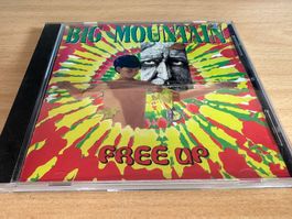 Big Mountain – Free Up