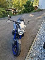 Yamaha FZ8 Racing Blue