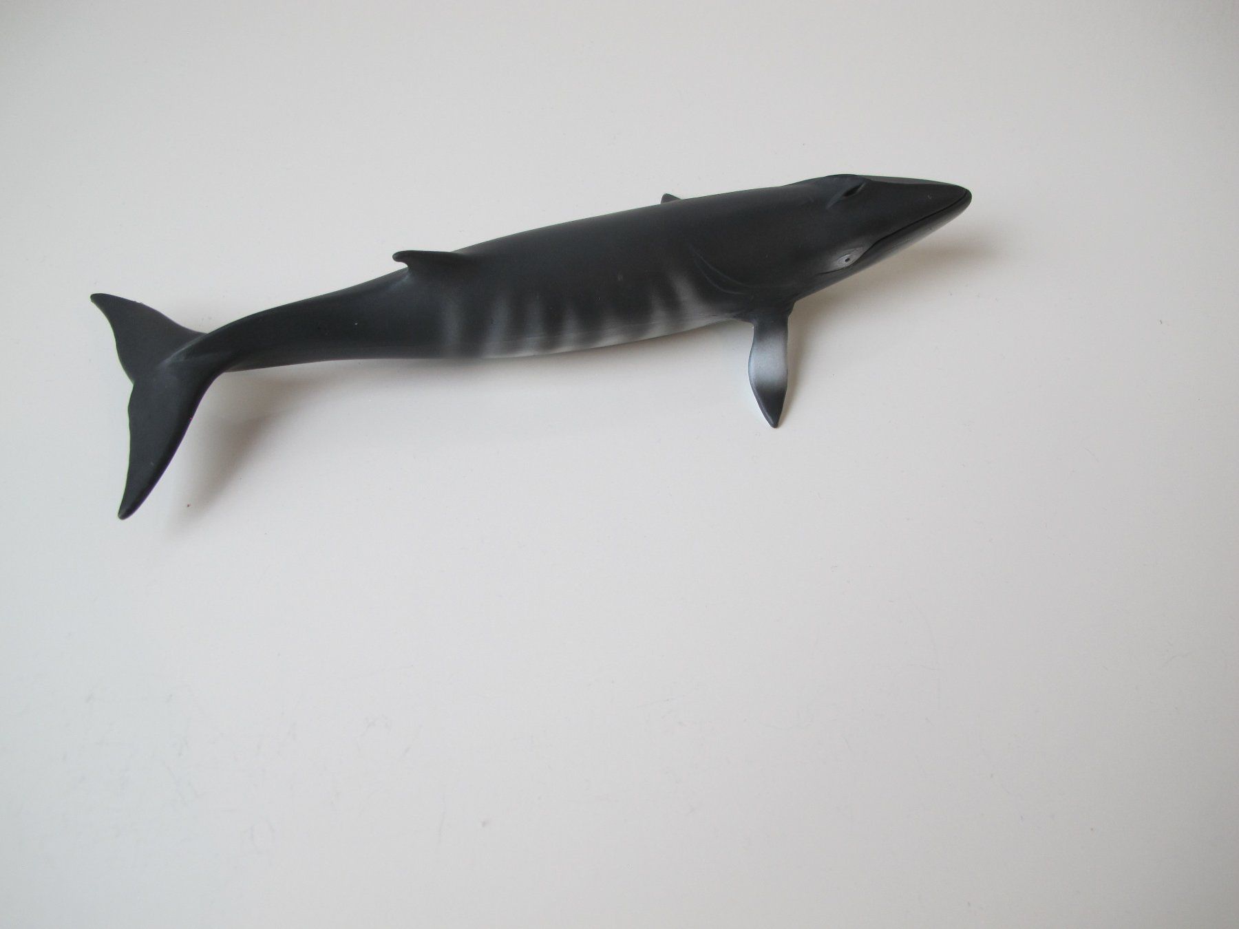 Schleich Figuren: Schleich 16087 Zwergwal Walfisch – Gebraucht aus Vilters von hedi00 6