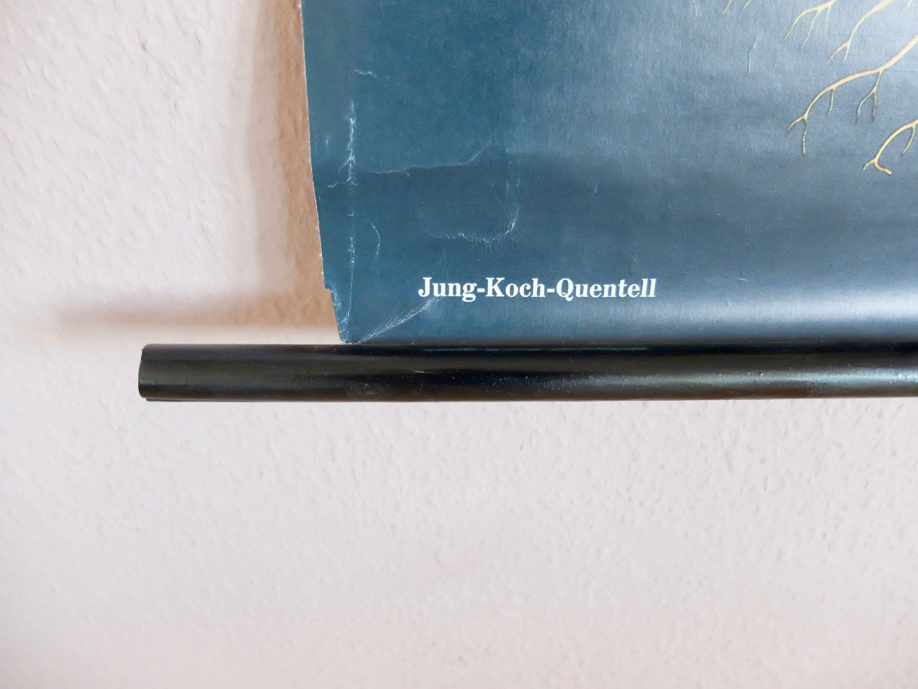 Foto & Immagini: SCHULWANDBILDER - BOTANIK - ROGGEN – Usato da Goldach venduto da Gaip 2