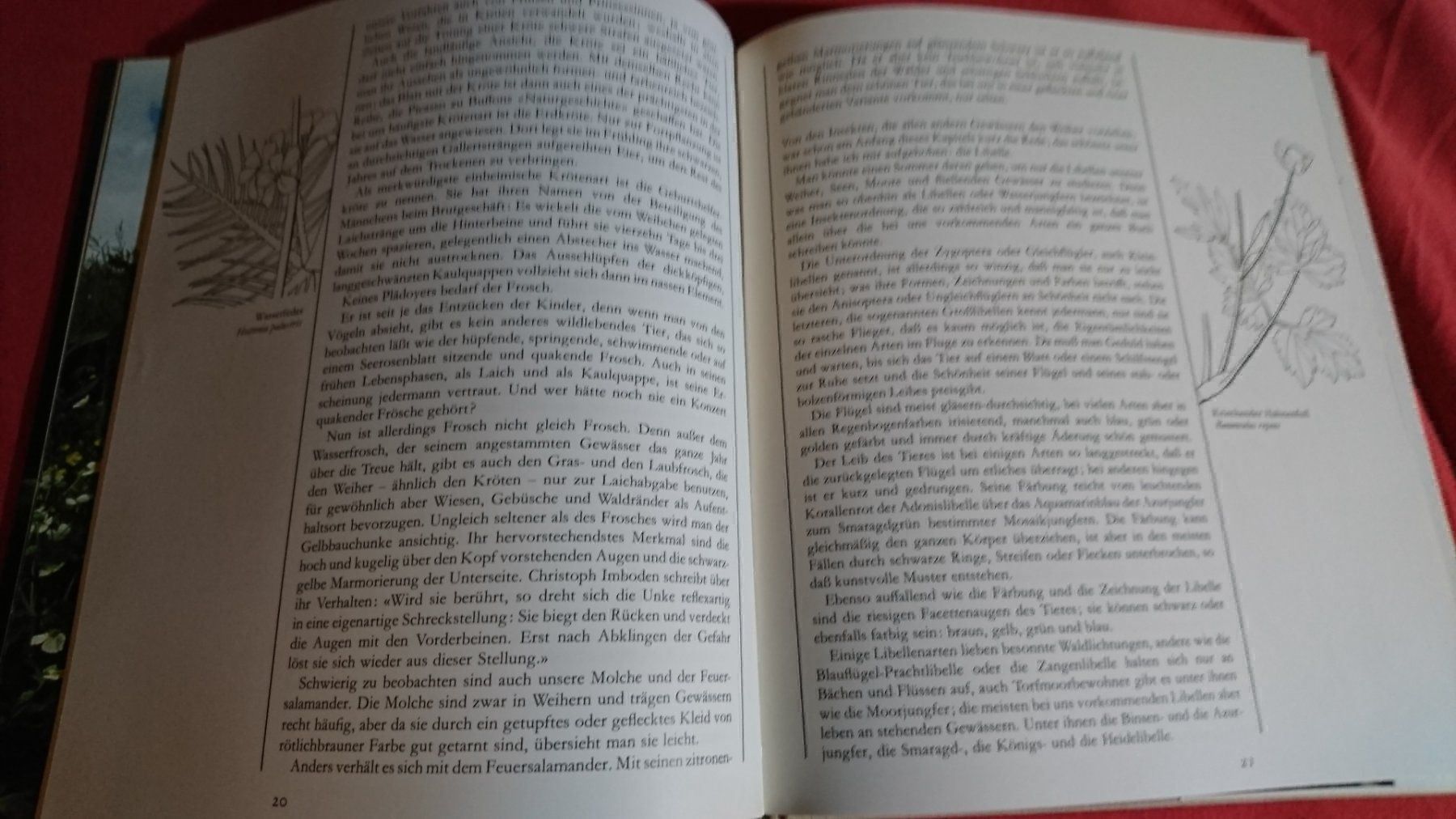 Libri: Die Natur in der wir leben – Usato da Remetschwil venduto da Privatflohmi 2