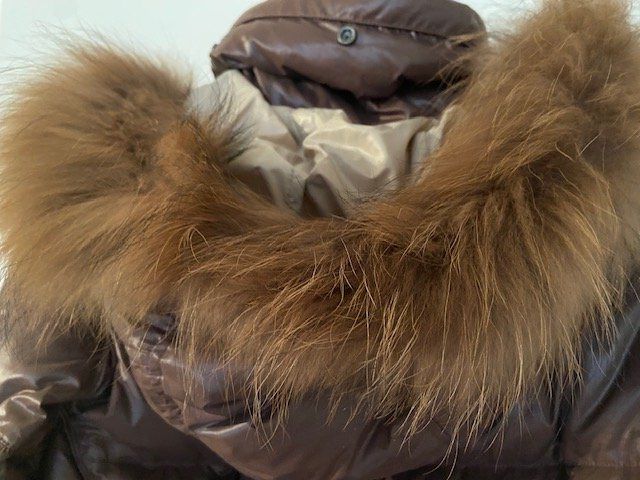 Vestes: 🍂 Daunenjacke Gr. 42 – Neuf (Voir description) à Buchberg par clickandpay1 2
