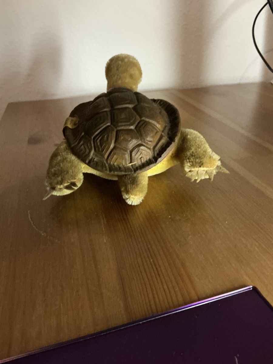 Steiff Giocattoli: Steiff Sol ( Schildkröte) – Usato da Basel venduto da S.Wehrli72 3