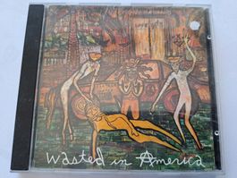 Cd Love/Hate – Wasted In America