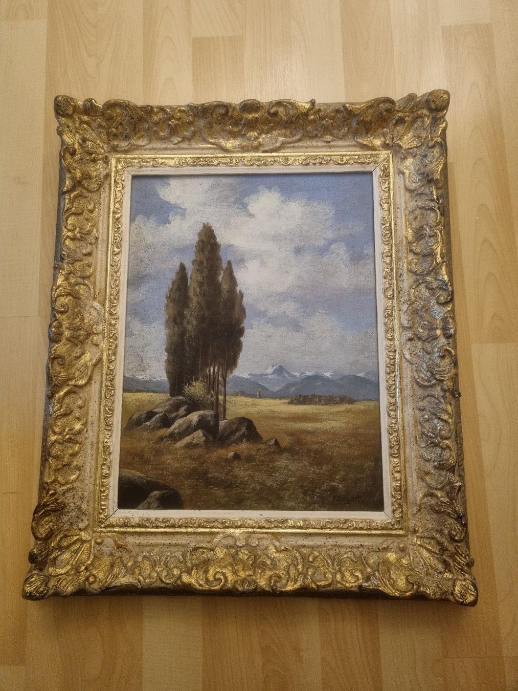 Tableaux: Landschaft Bild – D'occasion à Buchs AG par ChrizZa